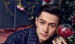 胡歌娱乐圈爆料视频大全,幕后真相全曝光