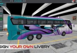 印尼巴士最新爆料飞机场